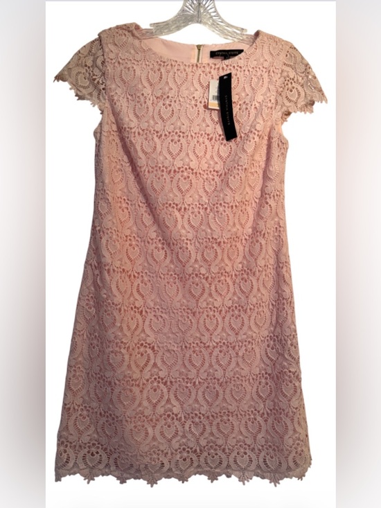 Cynthia Steffe Dresses & Skirts - Elegant And Beautiful Cynthia Steffe Blush Pink Lace Shift Dress